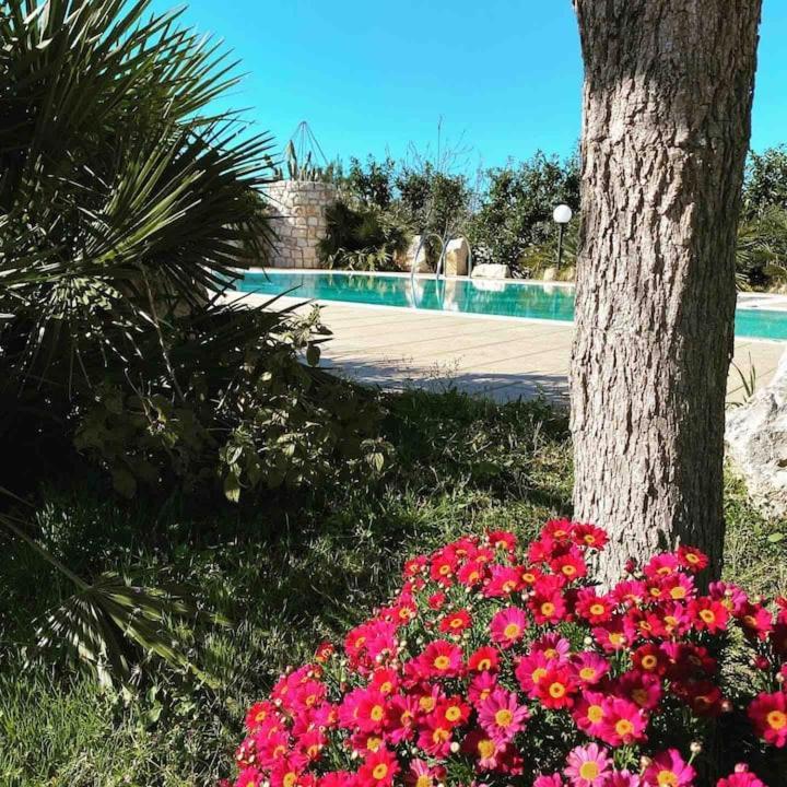 Pugliaholidayplus - Villa Cassano Polignano a Mare Exterior photo